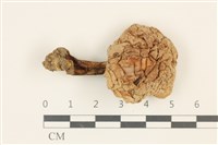 登錄號:F0036867藏品圖，第1張