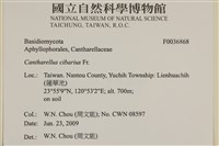 登錄號:F0036868藏品圖，第2張
