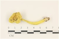 登錄號:F0036869藏品圖，第1張