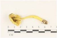 登錄號:F0036869藏品圖，第3張