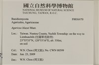 登錄號:F0036870藏品圖，第2張