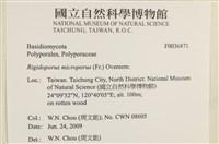登錄號:F0036871藏品圖，第2張