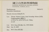 登錄號:F0036872藏品圖，第2張