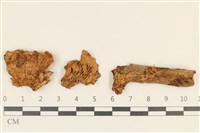 登錄號:F0036872藏品圖，第1張