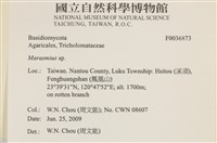 小皮傘屬藏品圖，第2張