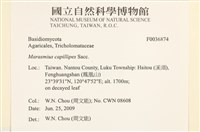 登錄號:F0036874藏品圖，第2張