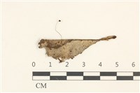 登錄號:F0036874藏品圖，第1張