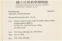 登錄號:F0036877藏品圖，第2張
