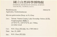登錄號:F0036878藏品圖，第2張