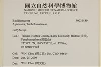 登錄號:F0036880藏品圖，第2張