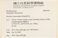 登錄號:F0036881藏品圖，第2張