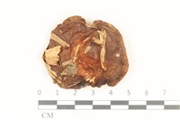 登錄號:F0036881藏品圖，第1張
