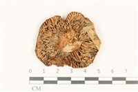 登錄號:F0036881藏品圖，第3張