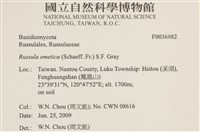 登錄號:F0036882藏品圖，第2張