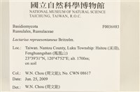 登錄號:F0036883藏品圖，第2張