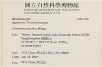 登錄號:F0036884藏品圖，第2張
