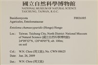 登錄號:F0036885藏品圖，第2張