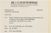 登錄號:F0036886藏品圖，第2張