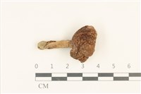 登錄號:F0036887藏品圖，第1張