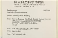 登錄號:F0036888藏品圖，第2張