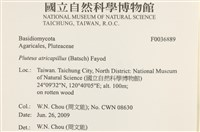 登錄號:F0036889藏品圖，第2張