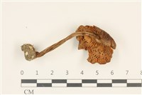 登錄號:F0036889藏品圖，第3張