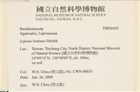 登錄號:F0036892藏品圖，第2張