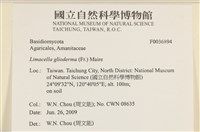 登錄號:F0036894藏品圖，第2張