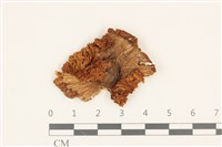 登錄號:F0036894藏品圖，第1張