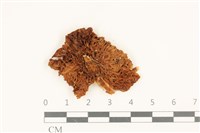 登錄號:F0036894藏品圖，第3張