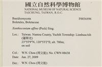 登錄號:F0036896藏品圖，第2張