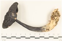 登錄號:F0036898藏品圖，第1張