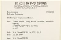 登錄號:F0036900藏品圖，第2張