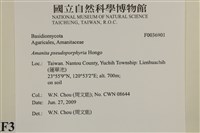 登錄號:F0036901藏品圖，第2張
