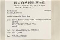 登錄號:F0036902藏品圖，第2張