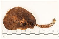 登錄號:F0036902藏品圖，第3張