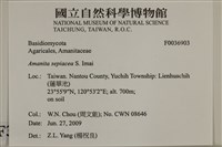 登錄號:F0036903藏品圖，第2張