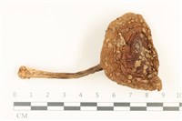 登錄號:F0036903藏品圖，第1張
