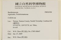 登錄號:F0036904藏品圖，第2張