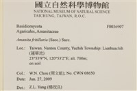 登錄號:F0036907藏品圖，第2張