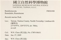 登錄號:F0036908藏品圖，第2張