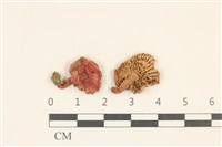 登錄號:F0036908藏品圖，第1張