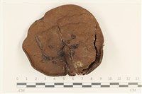 登錄號:F0036910藏品圖，第1張