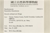 登錄號:F0036911藏品圖，第2張