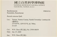 登錄號:F0036916藏品圖，第2張