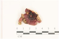 登錄號:F0036916藏品圖，第1張