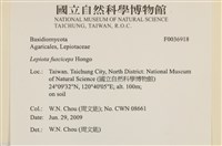 登錄號:F0036918藏品圖，第2張