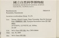 登錄號:F0036919藏品圖，第2張