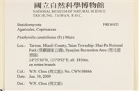 登錄號:F0036921藏品圖，第2張