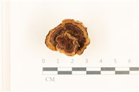 登錄號:F0036923藏品圖，第1張